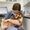 Ana: Veterinary nurse offering pet sitting services