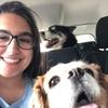 Charlotte: Pet care advisor and dog enthusiast🐶🤍