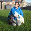 Joanna : Dog Tales: Leading the way in dog care