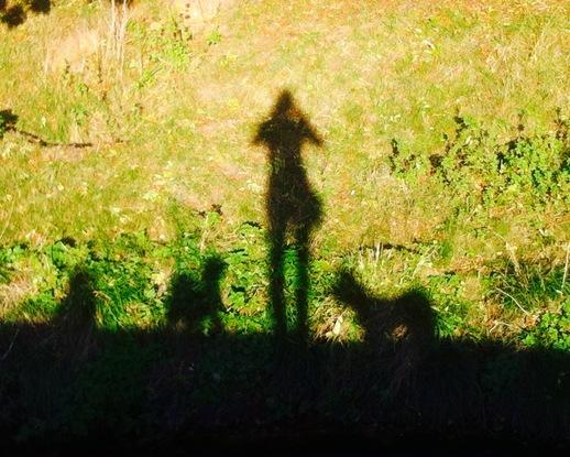 My perfectly trained silhouettes 