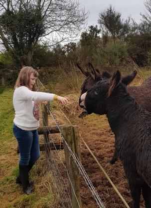 Helping a local farmer look after his 2 jenny donkeys 