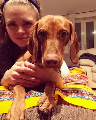 Cared for this sweet girl for three months. Hungarian vizslas are so beautiful!