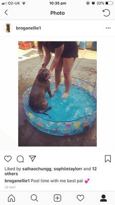 Play time in the pool