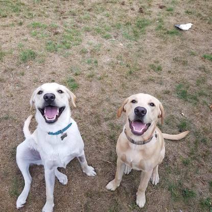 A play date with two best friends!