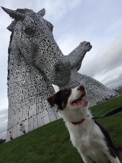 Day out at the Kelpies! 