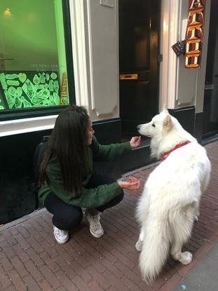 With a Dutch dog I found around Amsterdam 🤗