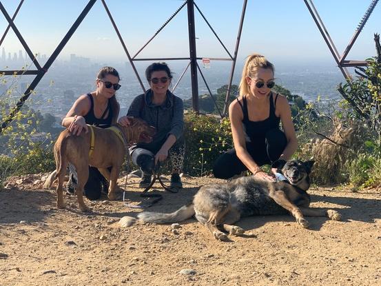 Hiking with a rescue dog charity in the US  