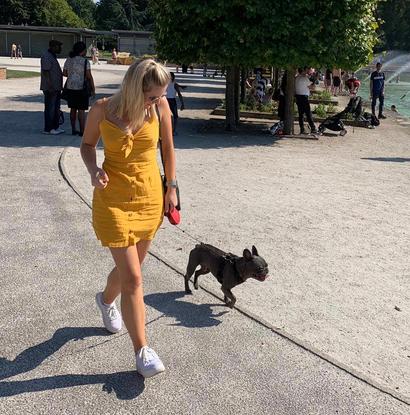Dog walking in Battersea Park 