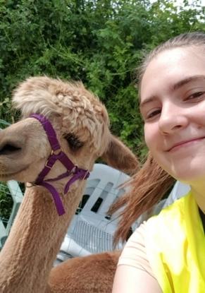 Me and Trelawney - yes I'm an alpaca trekker!