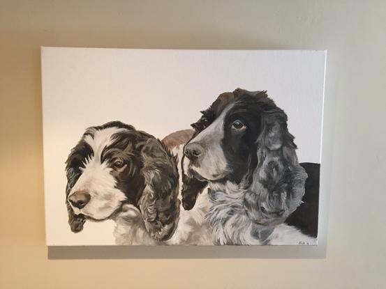 Monty and Milly - a portrait of my family's two spaniels. 