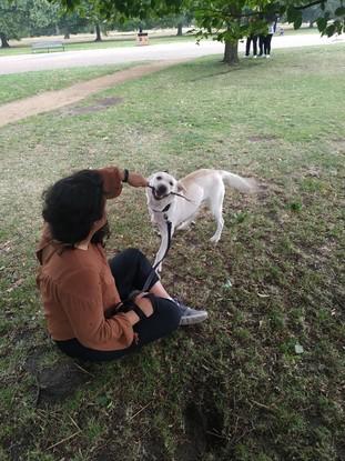 This is when I dogsat my friend's dog, Honey. She's so sweet, and had great fun with the little drizzle during the day!