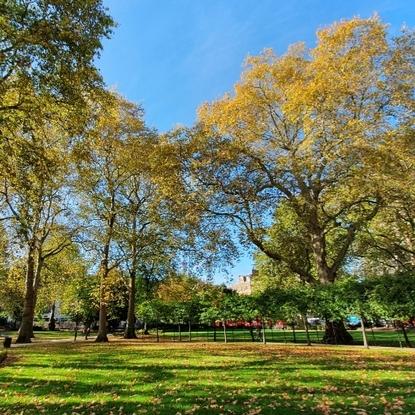 Russell Square (10 minutes away from home).