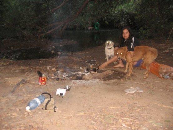 Camping with my babies (bardo and shep) 