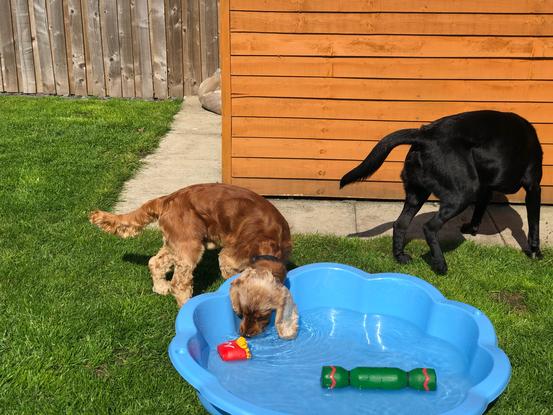 Paddling pool out on hot days 