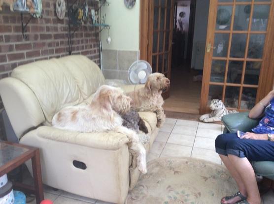 The 3 all sit together 