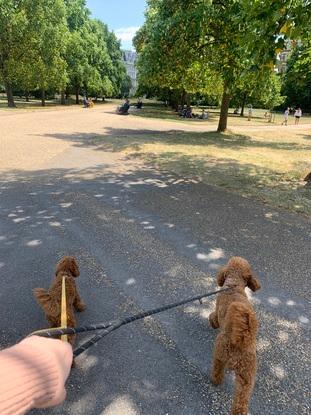 We love walking around Hyde park