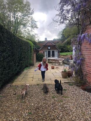 Dizzy, Lettice and Gordon greeting daughter on our housesit recently
