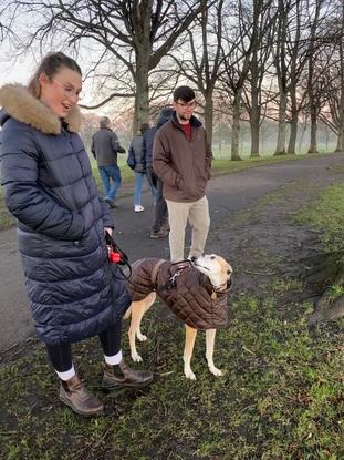Walking in Inverleith Park with sighthound