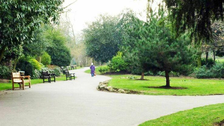 Waterlow Park, 5 minutes walk from my flat and great for dog walking