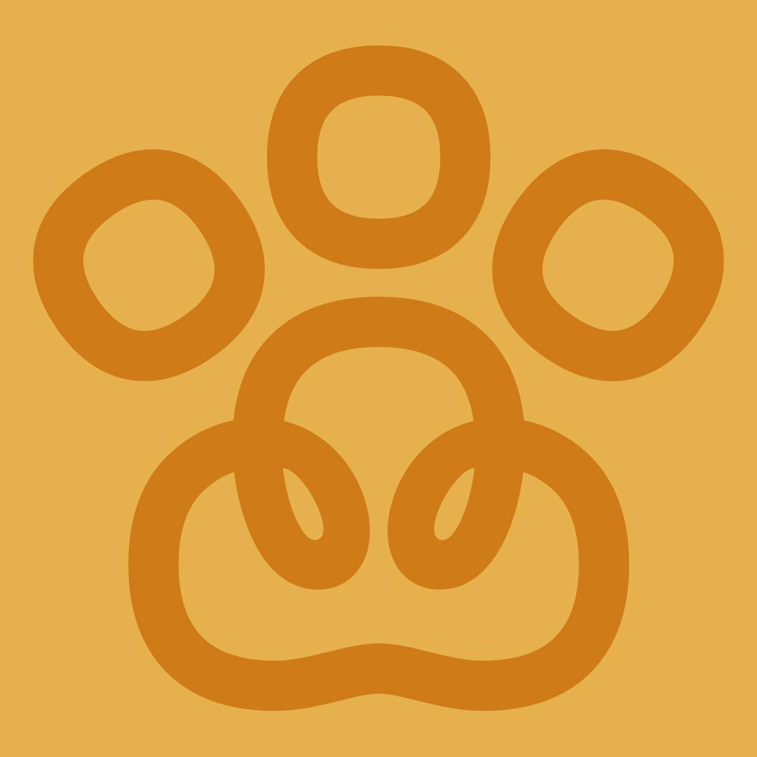 Paşa avatar