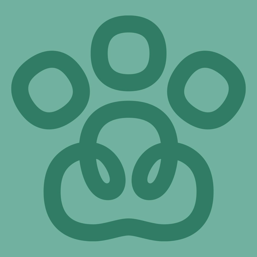 Rex avatar