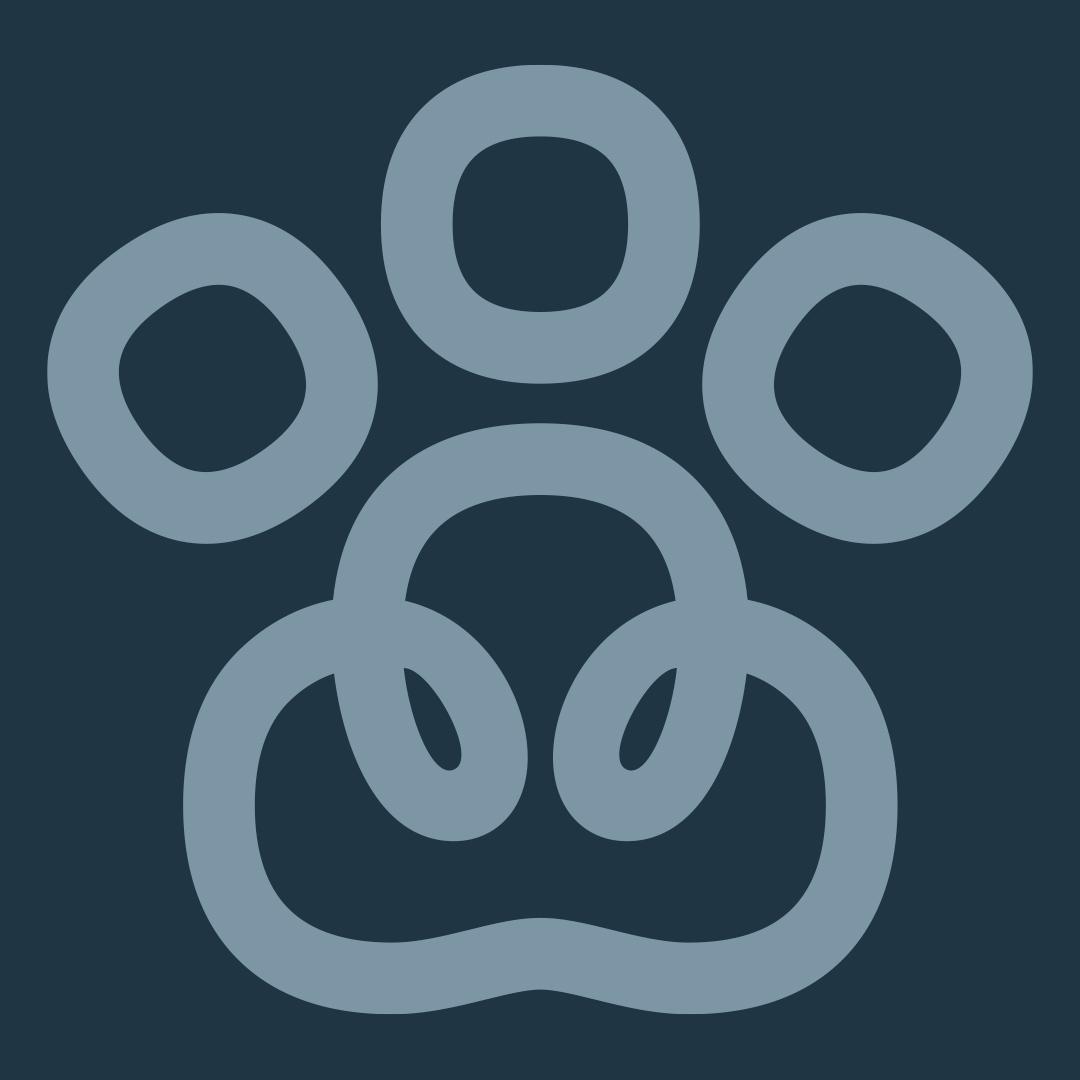 Diego avatar